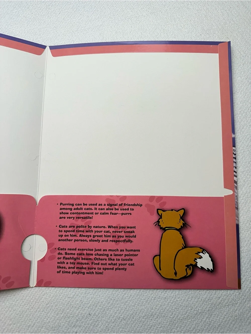 Mead 2003 Purrs & Grrrs cat Themed folder